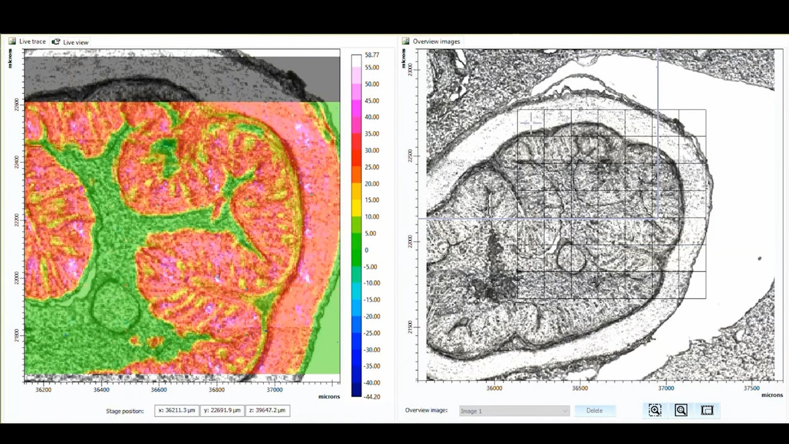 Lumos II &FPA检测器成像